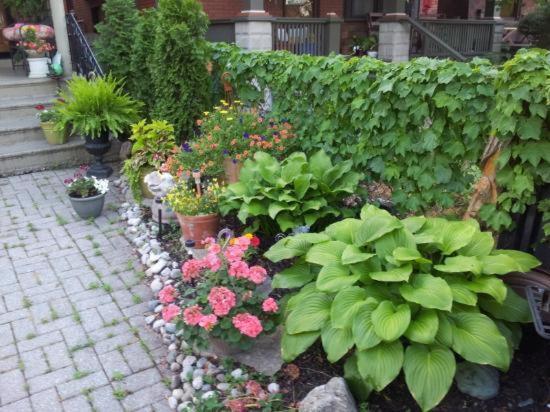 A Hidden Gem Bed And Breakfast Windsor Exterior foto